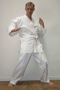 The Guy Who Knows Karate Imagemap!